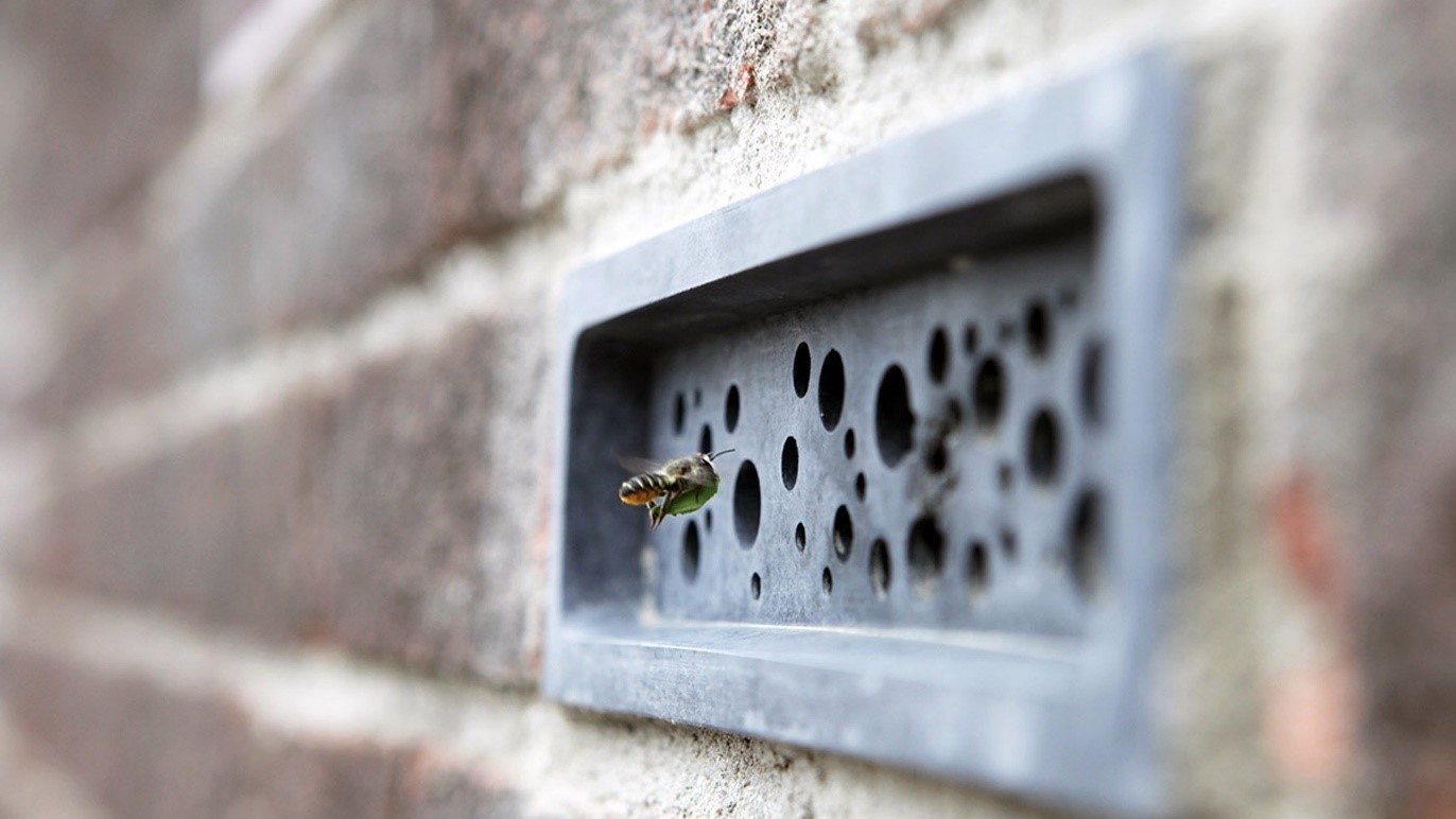 Are Bee Bricks the new Buzz? Planning for biodiversity net gain.